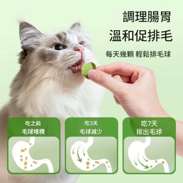 凍乾貓草磨牙粒
