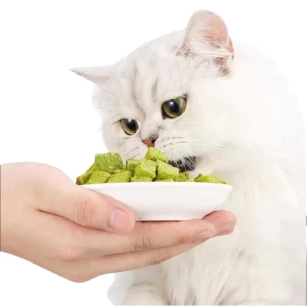 凍乾貓草磨牙粒