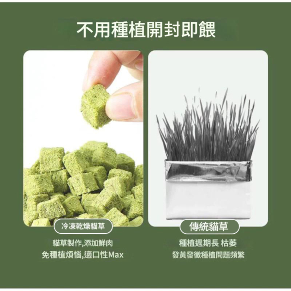 凍乾貓草磨牙粒