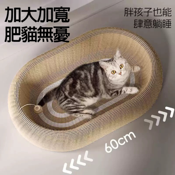 橢圓深盤劍麻抓抓窩