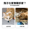 發聲響紙狗狗玩具 報紙造型