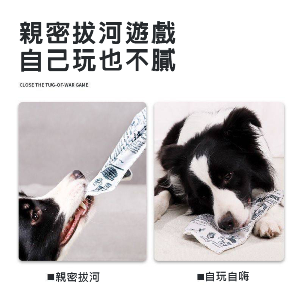 發聲響紙狗狗玩具 報紙造型